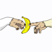 Apes Go Bananas