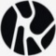 Celium