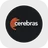 Cerebras Systems