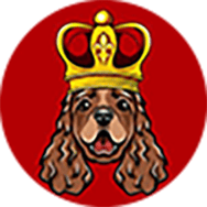 DogeKINGS