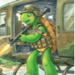 Franklin The Turtle