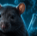 HantaVirus