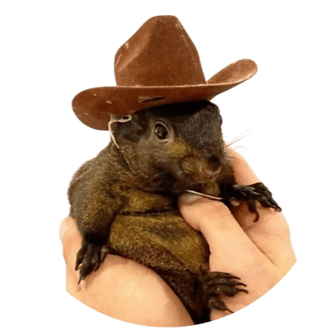 Peanut the Squirrel