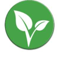 Vitae
