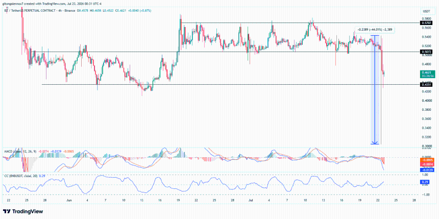 B2代币价格走势
