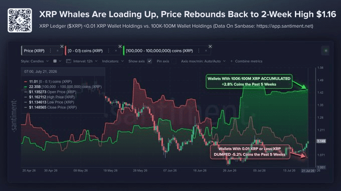 XRP