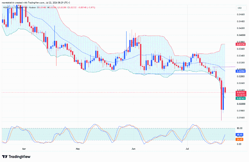 NIGHT price analysis