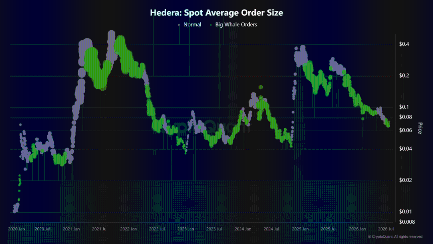 HBAR crypto Hedera
