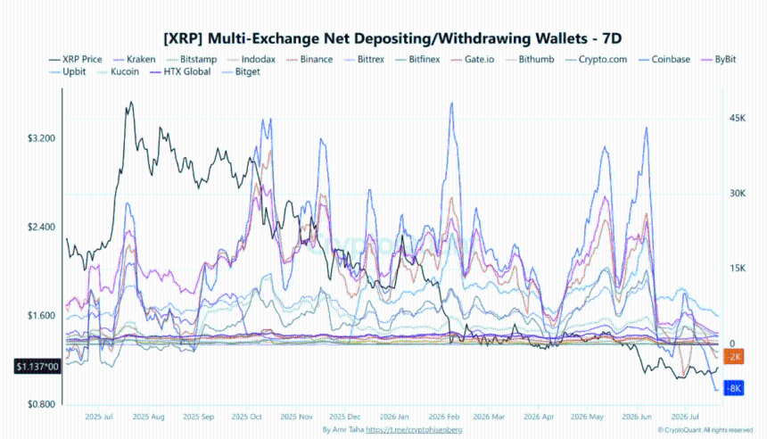 XRP钱包变化数据