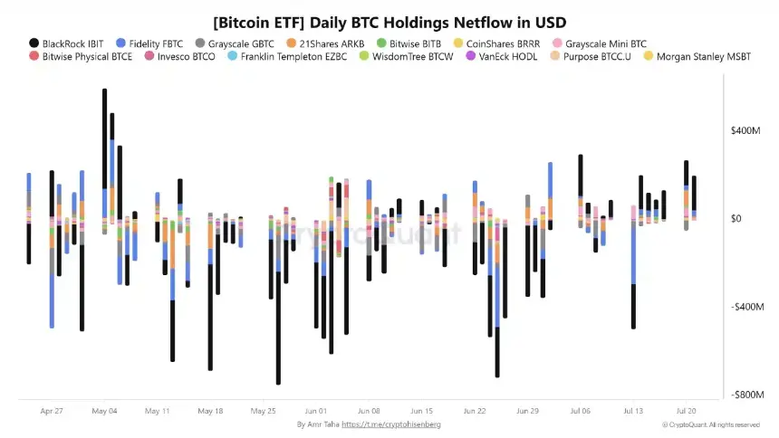 Bitcoin Daily Holdings Netflow