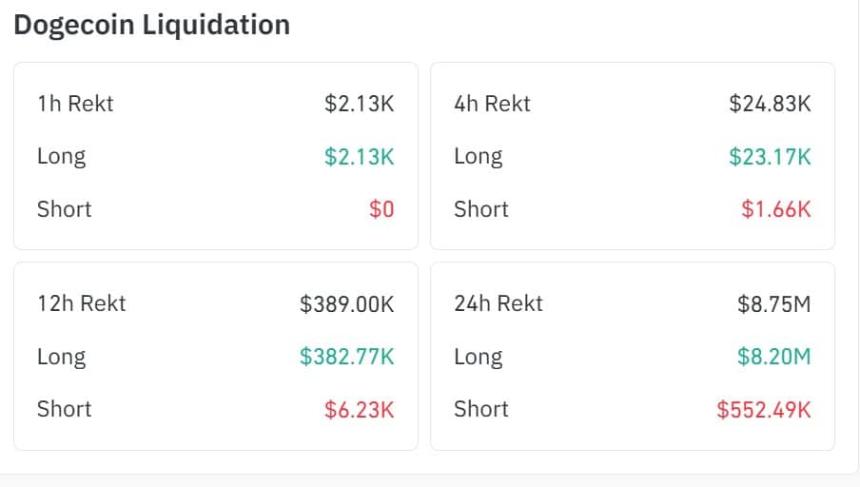 Dogecoin liquidation