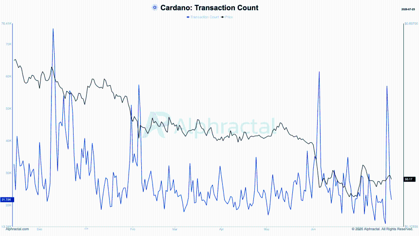 Cardano 5亿ADA国库计划能否逆转生态停滞？