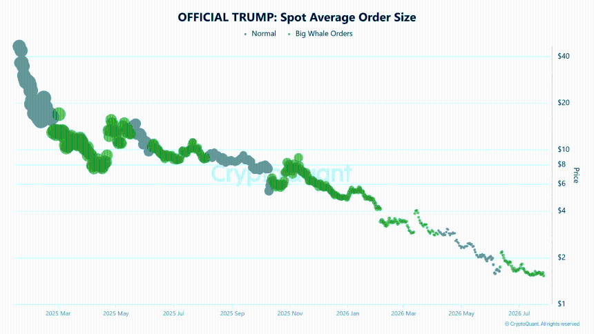 Ceffu转移526万美元TRUMP代币，交易所余额下降，$1.48支撑位受考验