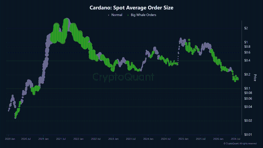 Cardano现货平均订单规模