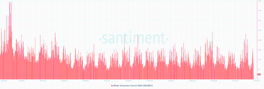 BTC whale activity
