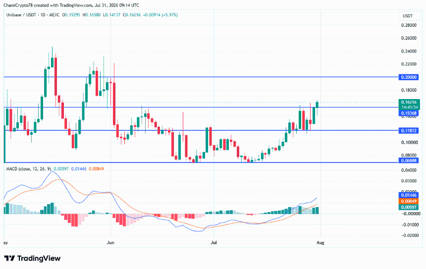Unibase price action
