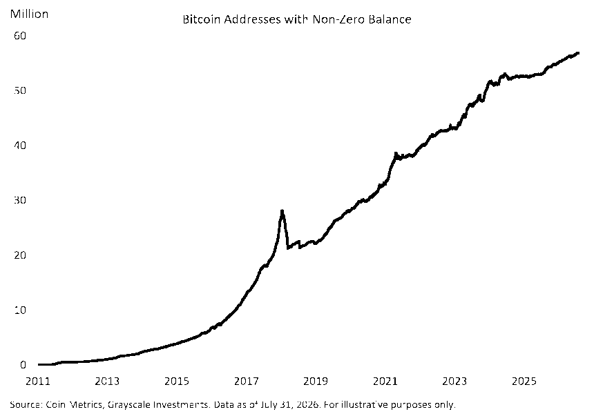 Bitcoin 地址数据
