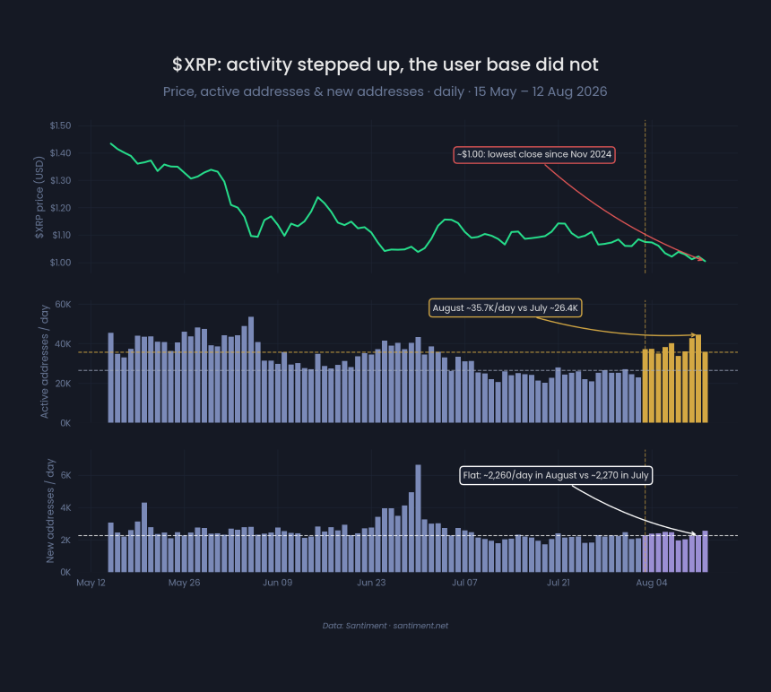 XRP用户数量变化