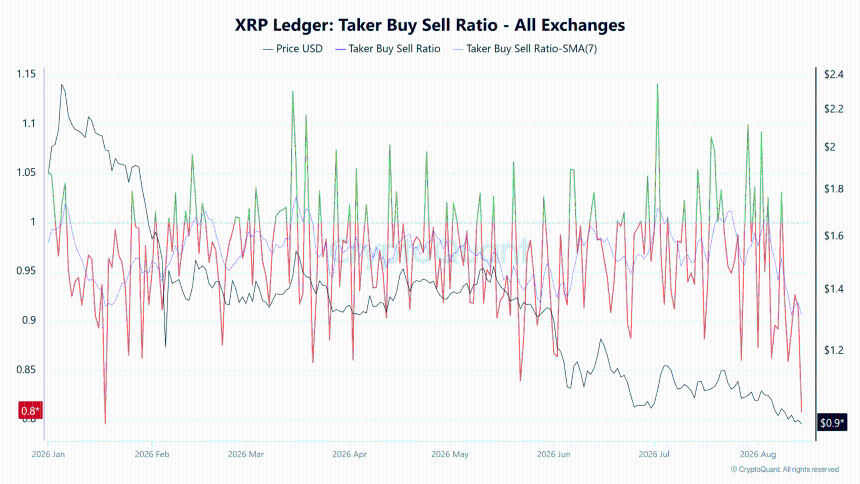 XRP主动买卖比率