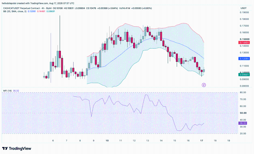 CASHCAT price chart. 