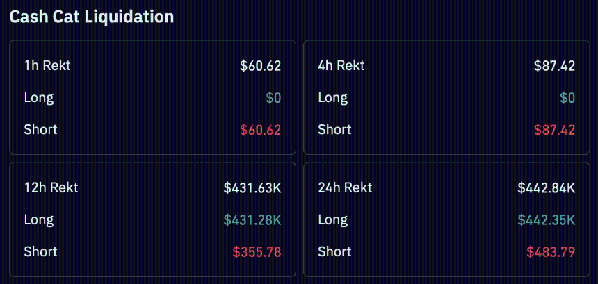 CASHCAT liquidation data. 