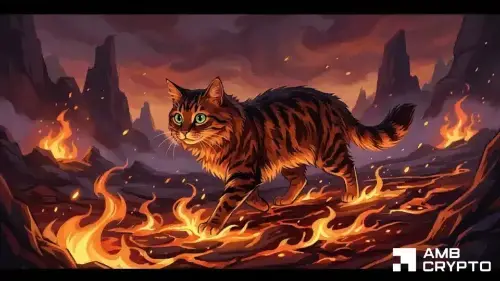 Cash Cat 暴跌15%：0.087美元关键支撑位能否扛住抛压？
