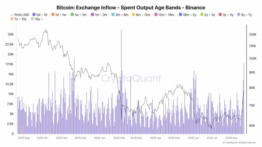 CryptoQuant数据