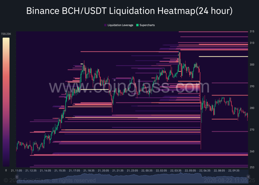 BCH 清算热力图