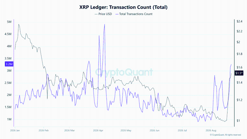 XRP transaction count