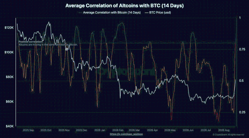 14 day correlation