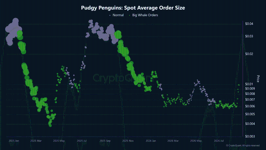 PENGU Average Order Size