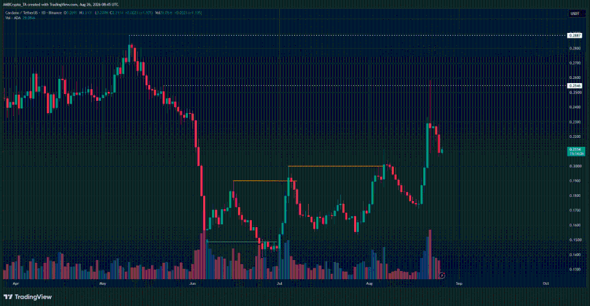 Cardano 1日图表