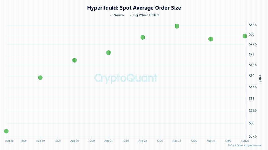 Hyperliquid现货平均订单规模