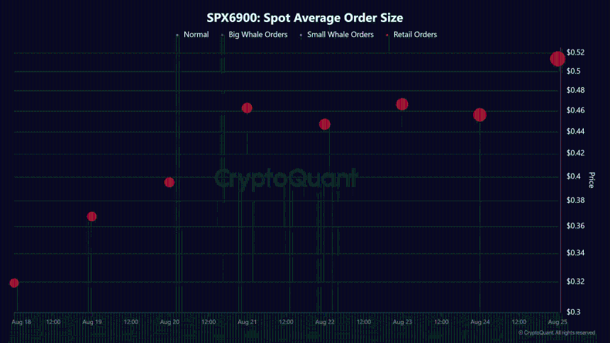 SPX6900现货平均订单规模