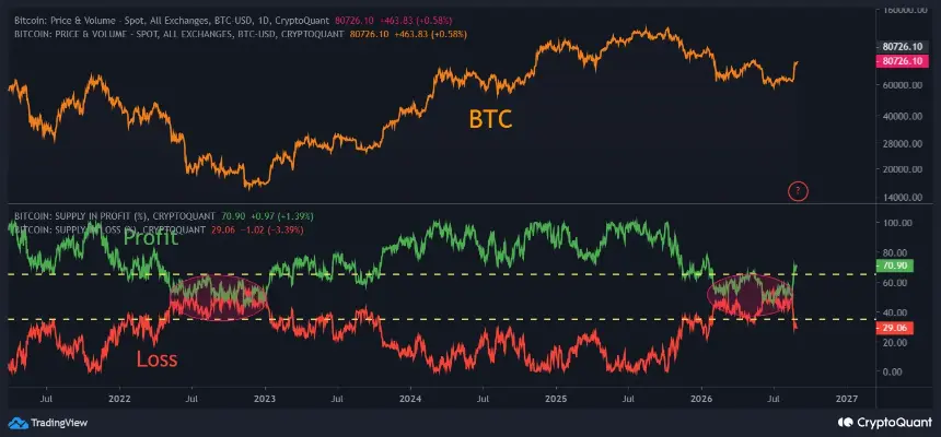 Bitcoin Profit and Loss