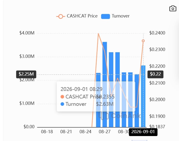 Cashcat turnover