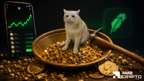 Cash Cat 飙升29%创新高,空头清算超61万美元:下一步走势如何?