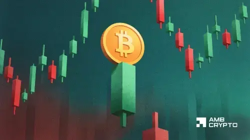 美联储官员言论致利率决议悬念再起，比特币单日反弹5%